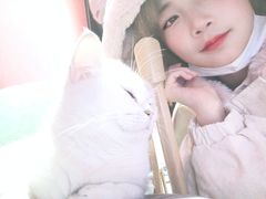 -猫色咖啡·猫咖