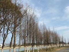 -梁鸿国家湿地公园