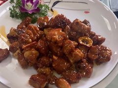 -麻奢鸽农庄·梦里水乡