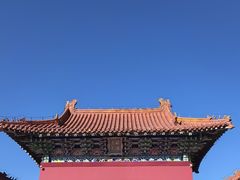 -北陵公园