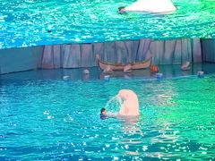 -海合安青岛极地海洋公园