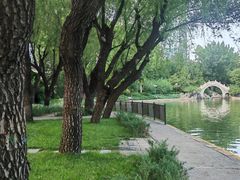 -团结湖公园