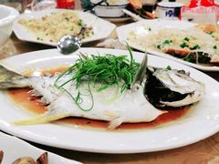 清蒸海鱼-双月饭店·20年老字号(新村店)