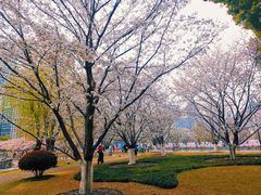 -西北湖绿化广场