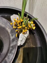 -铂诗玥医美