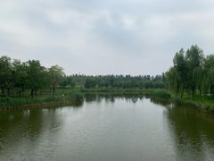 -东郊湿地公园