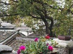 -观桥阁(锦溪店)