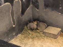 -酷嗒动物文化乐园(cutezoo西溪乐天城店)