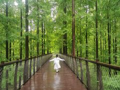 -黄海国家森林公园