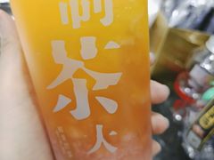 -舍予茶(桂林路店)