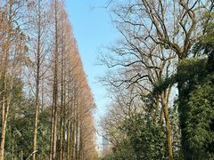 -岳麓山风景名胜区