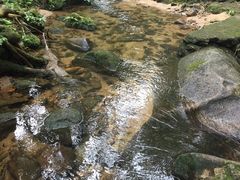 -海南热带雨林国家公园吊罗山景区