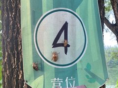 -稻香湖景欢乐岛温泉城堡