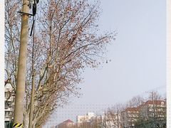 -杨浦区牙防所(中原门诊部)