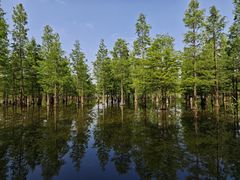 -白鹭湾湿地公园