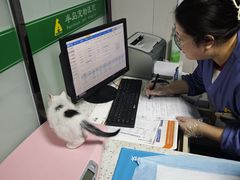 -半岛宠物医院24小时(科华中路店)