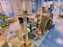 -小时光咖啡馆(开森度假森林店)