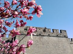 -中国人民抗日战争纪念雕塑园