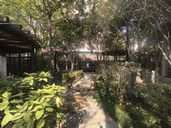 -张家港金凤凰度假村温泉