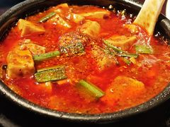 -陈麻婆豆腐总店