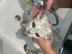 -FAELING PETS美天灵宠物(富力广场店)