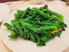姜汁炒芥兰-沙龙酒家