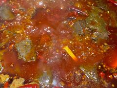 -阳阳老火锅(小南门店)