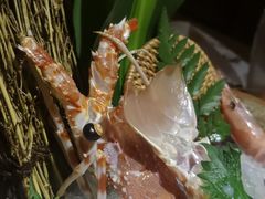 -蟹将军·松叶蟹和牛日料放题自助(K11店)