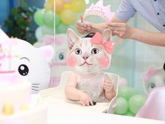 -KIDults童伴儿亲子餐厅(达美中心广场店)