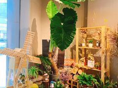 -MOCUS莫卡斯餐厅(祥云小镇店)