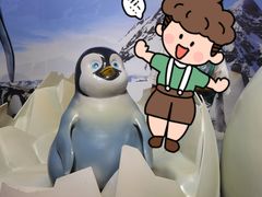 -海合安天津极地海洋公园