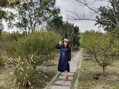 -柳鹭田园区