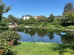 -树山生态村