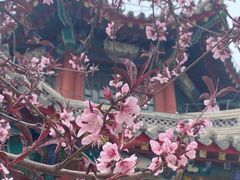 -莲池书院博物馆
