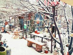 -荒度咖啡(北九水店)