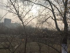 -滨湖塘西河公园
