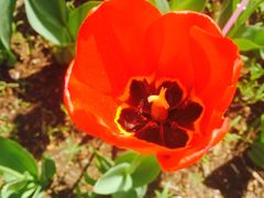 -长春公园(普阳街道)