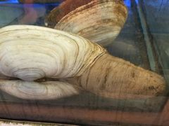 -旅南活海鲜-屏东(墾丁海鮮，海鮮餐廳，墾丁團體合菜，平價熱炒，墾丁熱炒店，活海鮮推薦，在地海鮮餐廳)