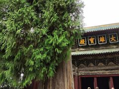 -报恩寺(平武县)