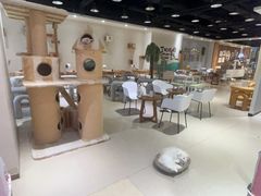 -藏猫猫咖啡主题馆(中央大道店)