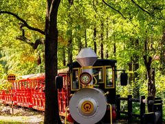 -上海共青森林公园