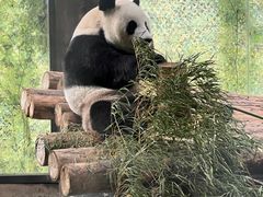 -上海野生动物园