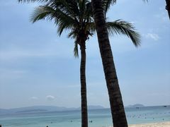 -渔家火锅·海鲜自助餐·演艺(亚龙湾天域酒店)