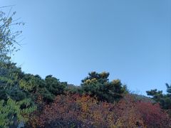 -香山公园