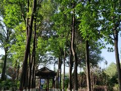 -西宁市人民公园(城西区)