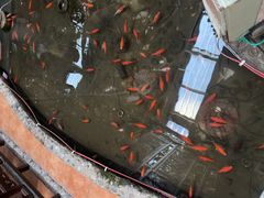 -和源祥·日照菜扛把子(万平口一店)