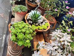 -纳兰傣雀傣味餐厅