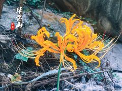 -宝鼎风景区