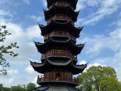 -龙华素斋(龙华路店)