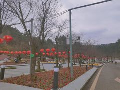 -阿哈湖国家湿地公园